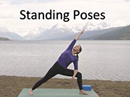 Jane Adams - Yoga for Beginners DVD